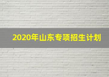 2020年山东专项招生计划