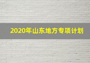 2020年山东地方专项计划