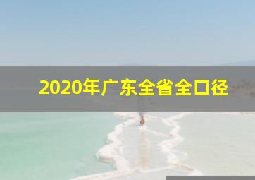 2020年广东全省全口径