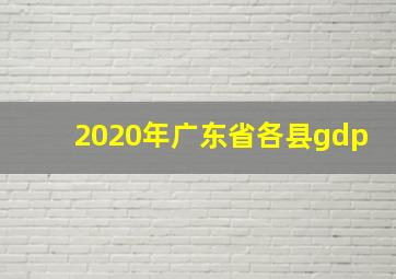 2020年广东省各县gdp