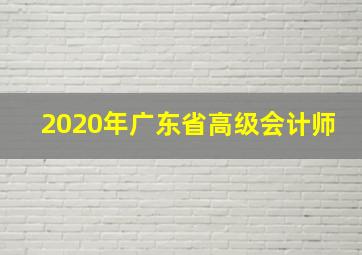 2020年广东省高级会计师