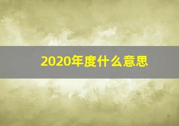 2020年度什么意思