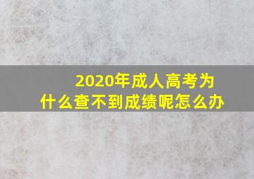 2020年成人高考为什么查不到成绩呢怎么办