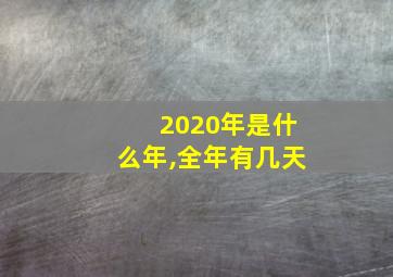 2020年是什么年,全年有几天