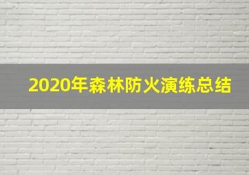 2020年森林防火演练总结