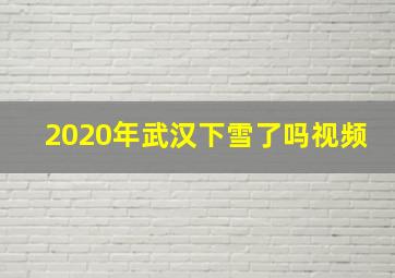 2020年武汉下雪了吗视频