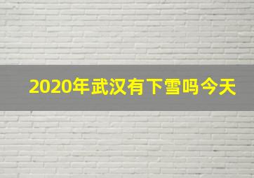 2020年武汉有下雪吗今天