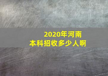 2020年河南本科招收多少人啊