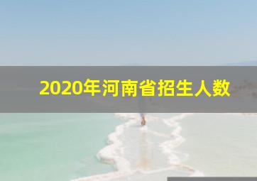 2020年河南省招生人数