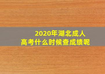 2020年湖北成人高考什么时候查成绩呢