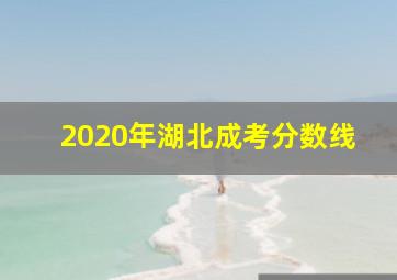 2020年湖北成考分数线