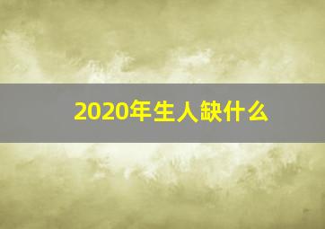 2020年生人缺什么