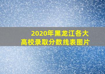 2020年黑龙江各大高校录取分数线表图片