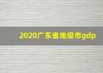 2020广东省地级市gdp