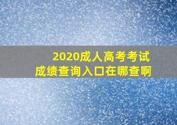 2020成人高考考试成绩查询入口在哪查啊