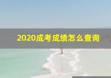 2020成考成绩怎么查询