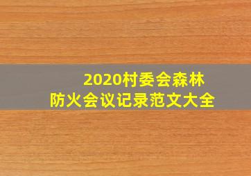 2020村委会森林防火会议记录范文大全