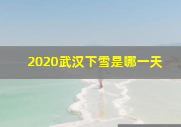 2020武汉下雪是哪一天