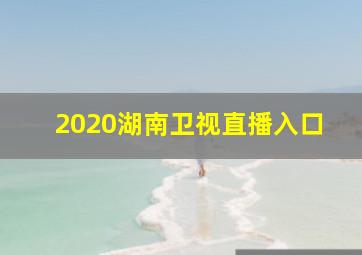 2020湖南卫视直播入口