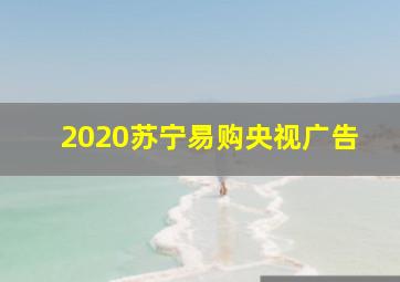 2020苏宁易购央视广告