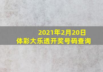 2021年2月20日体彩大乐透开奖号码查询