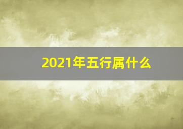 2021年五行属什么