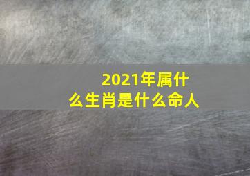 2021年属什么生肖是什么命人