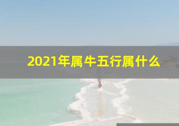 2021年属牛五行属什么