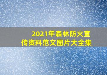 2021年森林防火宣传资料范文图片大全集