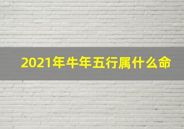 2021年牛年五行属什么命