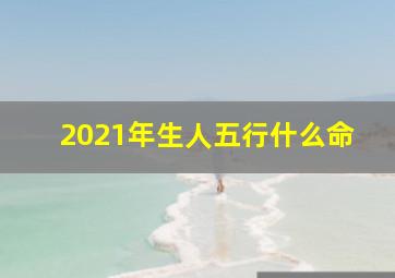 2021年生人五行什么命