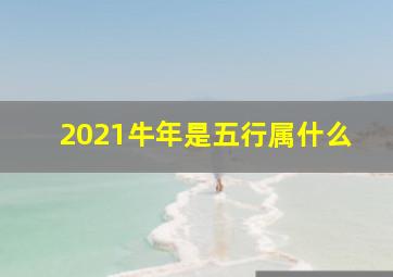 2021牛年是五行属什么