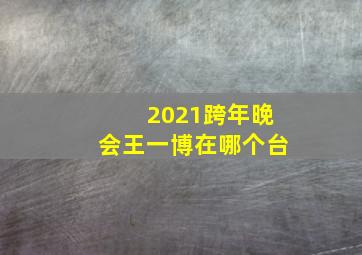 2021跨年晚会王一博在哪个台