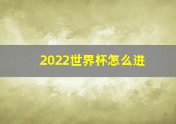 2022世界杯怎么进