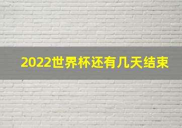 2022世界杯还有几天结束