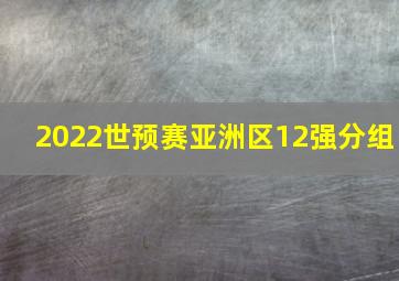 2022世预赛亚洲区12强分组