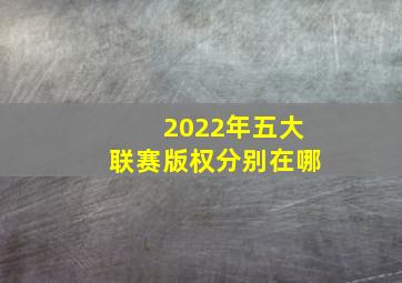 2022年五大联赛版权分别在哪