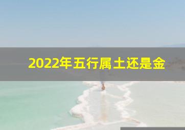 2022年五行属土还是金