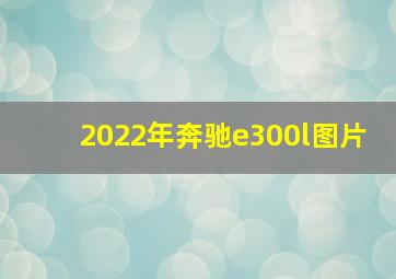 2022年奔驰e300l图片