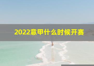 2022意甲什么时候开赛