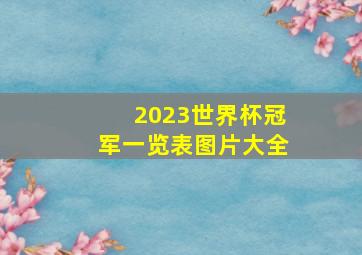 2023世界杯冠军一览表图片大全