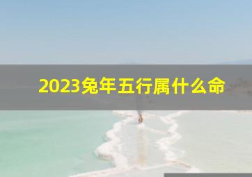 2023兔年五行属什么命