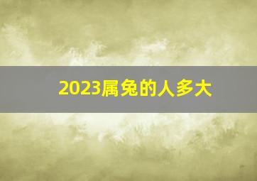 2023属兔的人多大