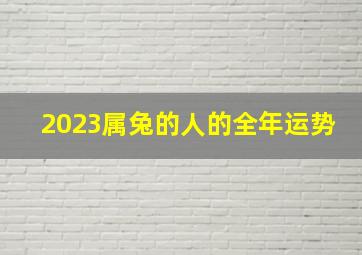 2023属兔的人的全年运势