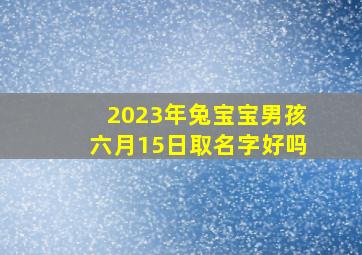 2023年兔宝宝男孩六月15日取名字好吗