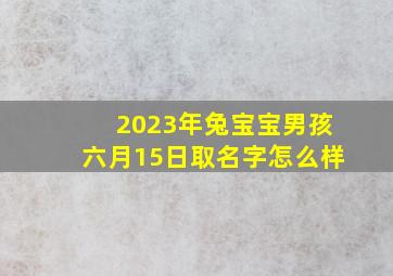 2023年兔宝宝男孩六月15日取名字怎么样