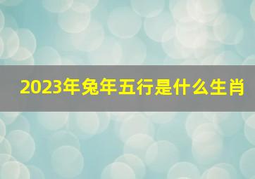 2023年兔年五行是什么生肖