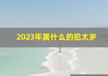 2023年属什么的犯太岁