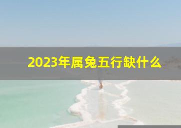 2023年属兔五行缺什么