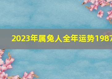 2023年属兔人全年运势1987